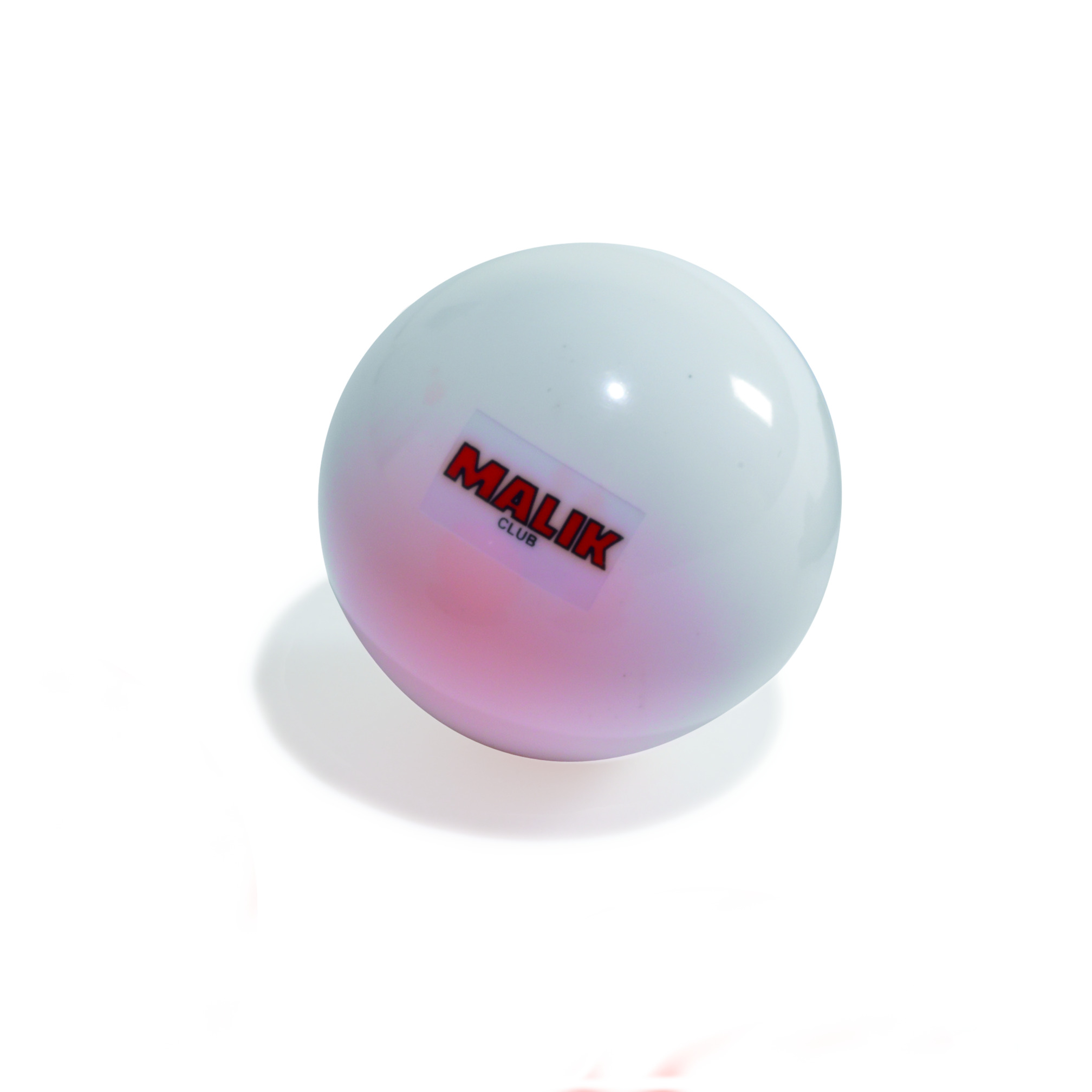 Hockeyball Training
