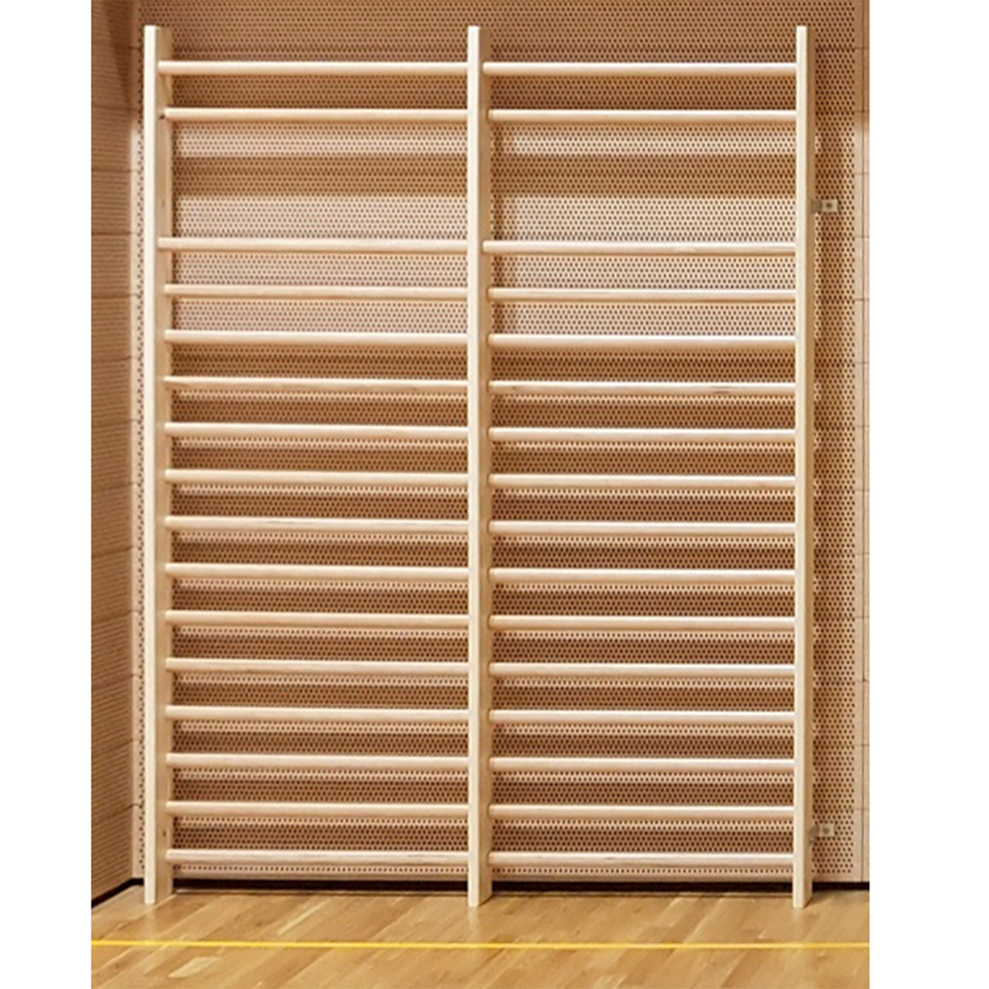 Sprossenwand, 260x200 cm, (Doppelfeld)