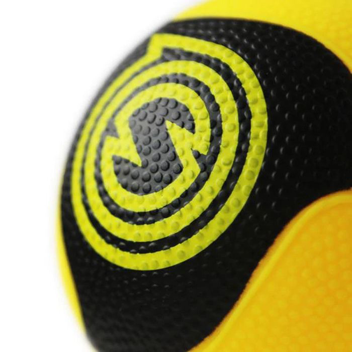 Spikeball Pro Ballen – 2 Stuks