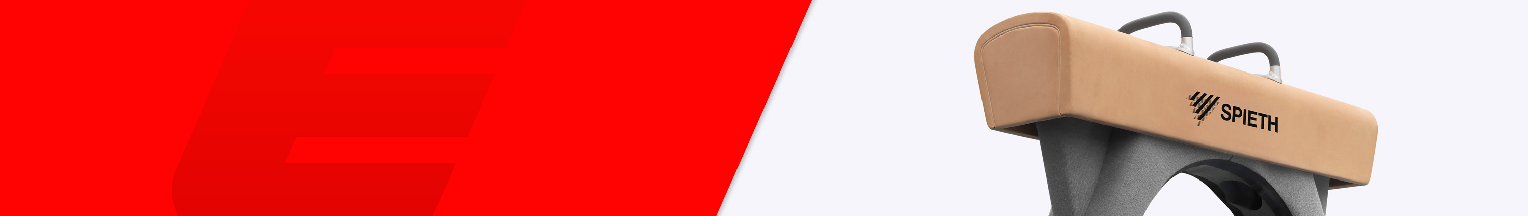 Turnmateriaal-Erhard-Sport-voltigepaard