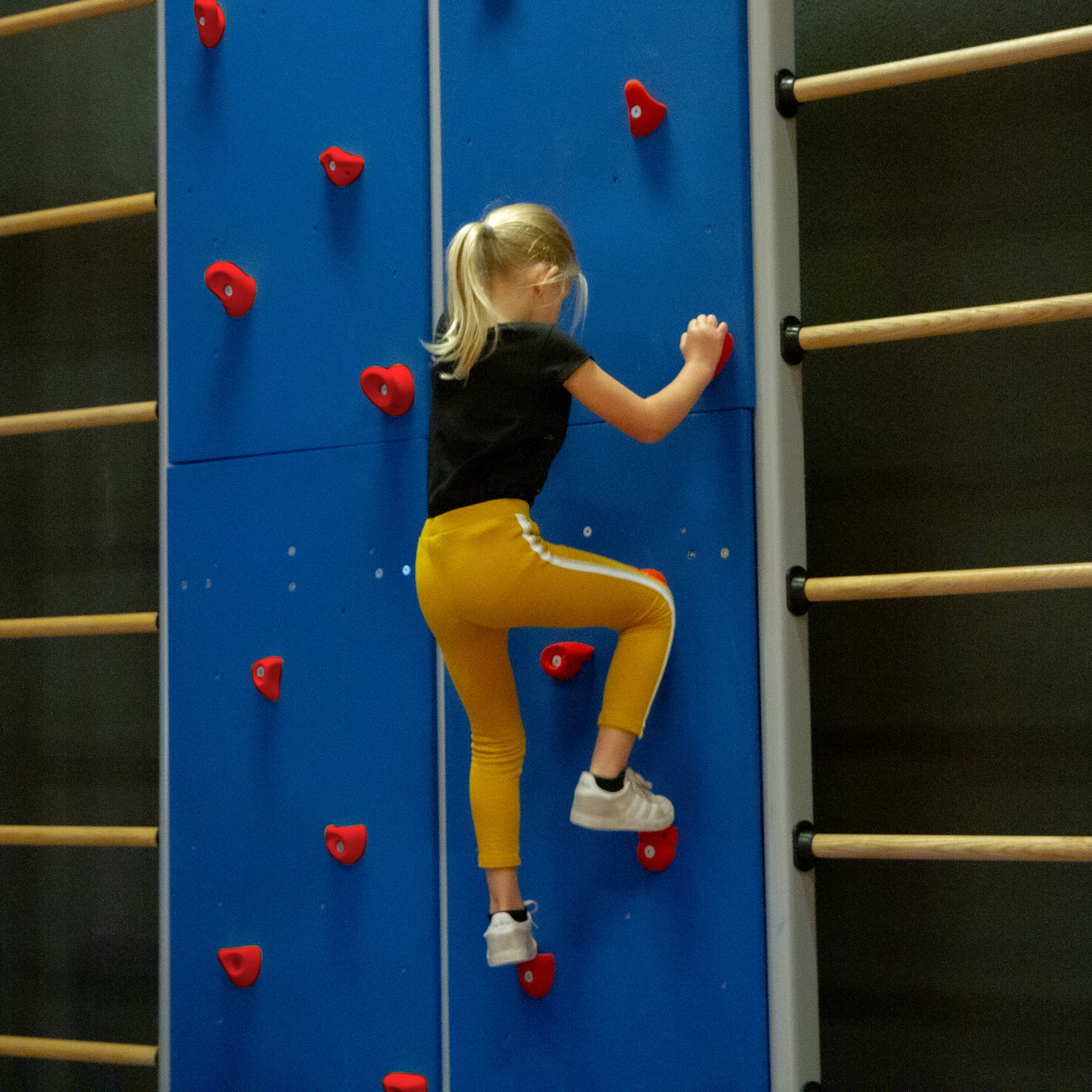 Boulder-/klimpanelen, basisonderwijs