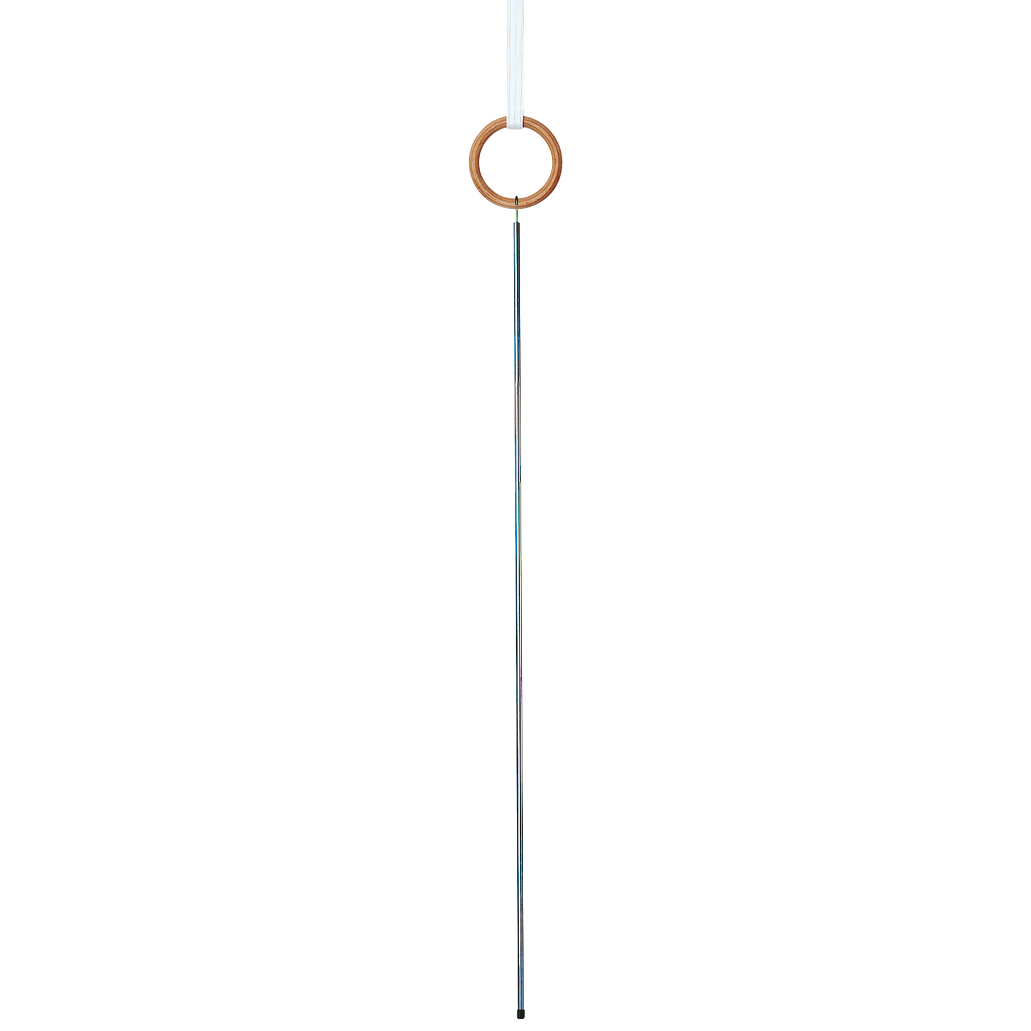 Hook for rings
