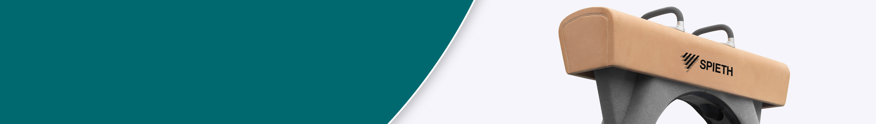 JF-Turnmateriaal-Voltigepaard