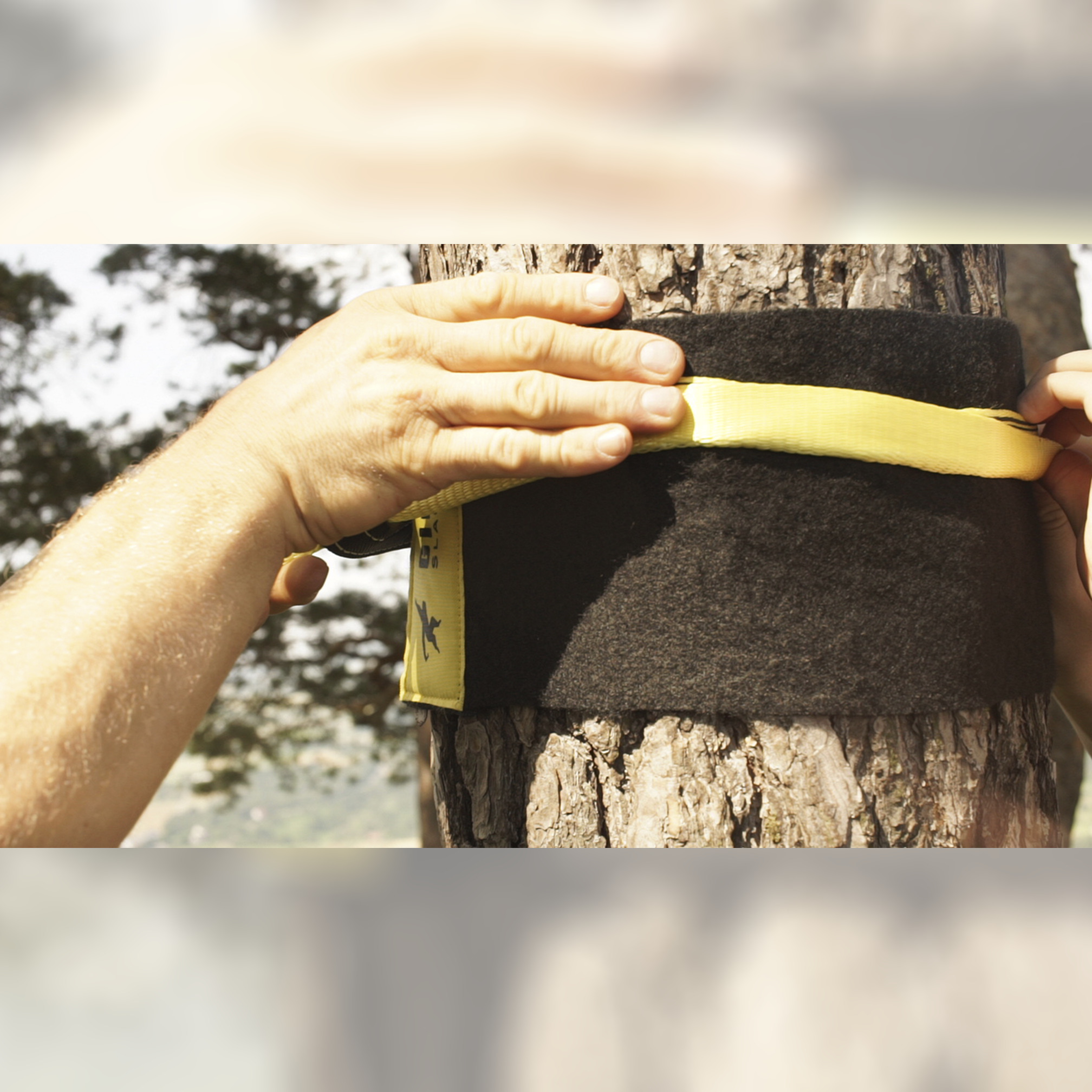 Treewear